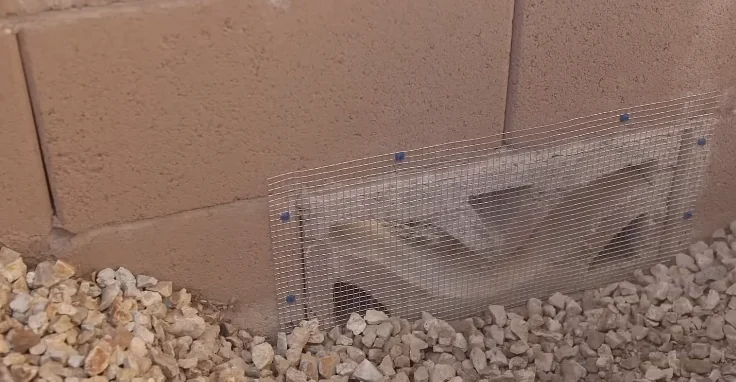Hardware cloth cover fastened over a foundation vent