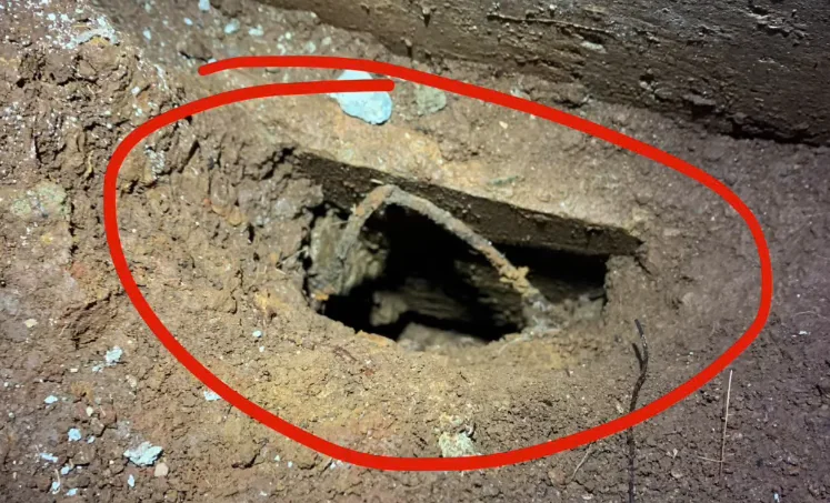 Rat burrow dug into dirt beside a building foundation on a rural property