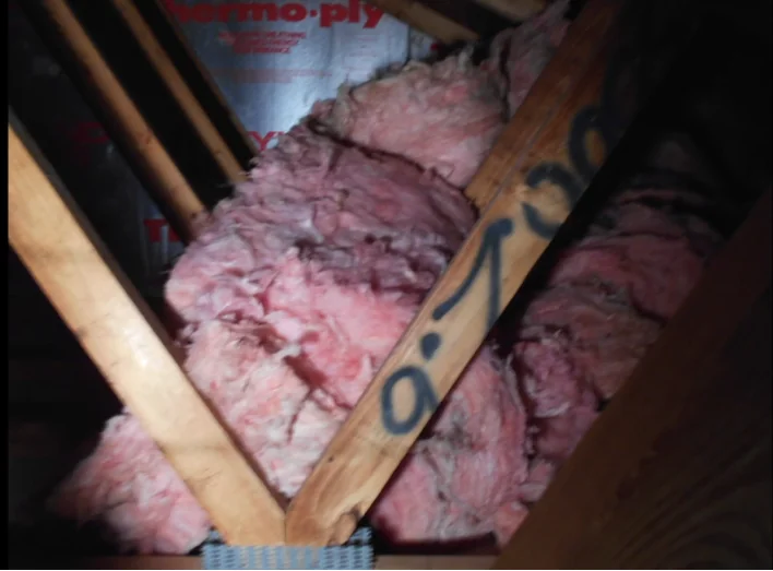 Rodent-damaged pink insulation pulled apart between attic rafters
