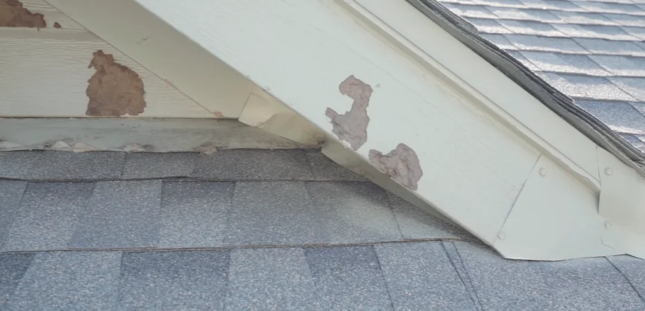 Gap where a lower roofline meets the wall, a common roof rat entry point